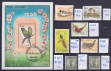 Lot filatelic Păsări &amp; Ornitologie / Coliță Afganistan + Timbre Australia &amp; Birmania - A991