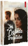 Oglinda Trecutului - Petale Scrise