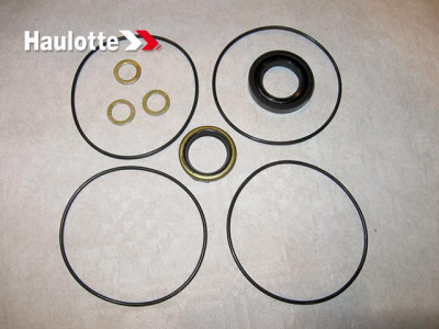 Kit reparatie motor hidraulic Haulotte 2421692900 foto