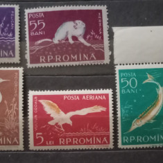 Romania 1957 Lp 448 fauna din Delta Dunării serie nestampilat