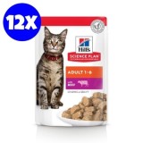 Cumpara ieftin Hill&#039;s Science Plan Feline Adult Beef, 12x85 g