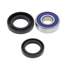 KIT RULMENTI DE JUG ALL BALLS RACING WB25-1515