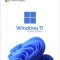 Licenta Microsoft Windows 11 Home Retail, 5 dispozitive