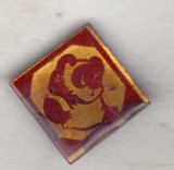 bnk ins Insigna URSS - Winnie the Pooh