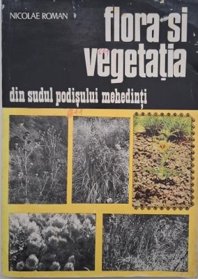 Flora si vegetatia sin sudul Podisului Mehedinti - Nicolae Roman (coperta putin uzata) foto