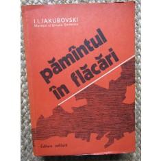 Pamantul in flacari &ndash; I. I. Iakubovski