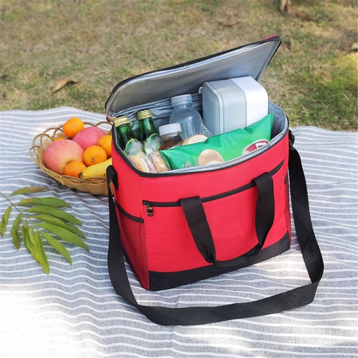 Geanta termoizolanta pentru picnic sau plaja, capacitate 16l, culoare Rosie