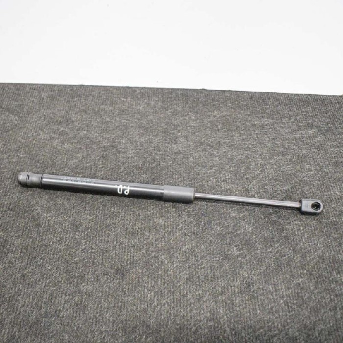 Amortizor capota dreapta față TESLA MODEL 3 2018 OEM: 1091472-00-B 10829038