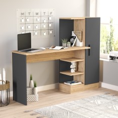 HausGarden Leisure foto
