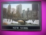 HOPCT 8069 IARNA IN CENTRAL PARK - NEW YORK CITY -SUA-AMERICA DE NORD -NECIRCULAT-PATRIOT A