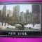 HOPCT 8069 IARNA IN CENTRAL PARK - NEW YORK CITY -SUA-AMERICA DE NORD -NECIRCULAT-PATRIOT A