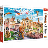 Puzzle 1000 orase amuzante roma salbatica