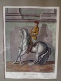 Școala de echitație, manej, călărit, cai, Gravura color