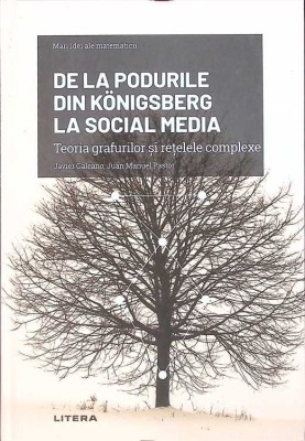 DE LA PODURILE DIN KONIGSBERG LA SOCIAL MEDIA-JAVIER GALEANO, JUAN MANUEL PASTOR-263821 foto