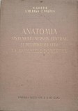 Anatomia sitemului nervos central si neurovegetativ la animalele domestice &ndash; V. Ghetie