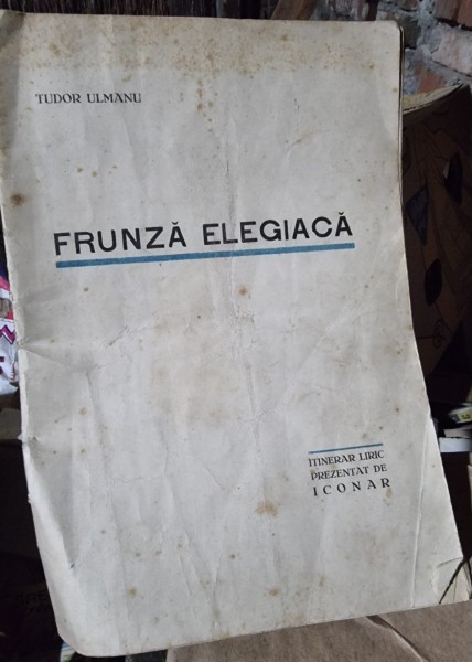 Frunza elegiaca - Tudor Ulmanu cu semnatura lui Iulian Vesper