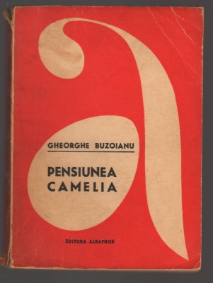C10692 - PENSIUNEA CAMELIA - GHEORGHE BUZOIANU foto
