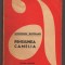 C10692 - PENSIUNEA CAMELIA - GHEORGHE BUZOIANU