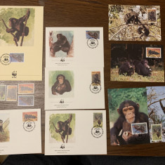 sierra leone - cimpanzeu - serie 4 timbre MNH, 4 FDC, 4 maxime, fauna wwf