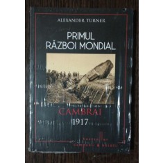 PRIMUL RAZBOI MONDIAL CAMBRAI 1917 - ALEXANDER TURNER