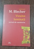 M. Blecher - Viziuna luminata jurnal de sanatoriu