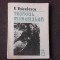 TOIAGUL MINUNILOR - V. VOICULESCU