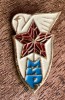 QW9 N9 79 - Insigna - tematica pace, Romania de la 1950