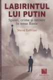 AS - STEVE LEVINE - LABIRINTUL LUI PUTIN