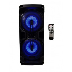 Boxa portabila elSales ELS-802 cu Bluetooth, USB, card, telecomanda, putere 100 W, carcasa lemn, negru