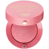 Bourjois Blush blush