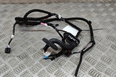 Cablaj ușă st&amp;acirc;nga spate TESLA MODEL 3 2023 OEM: 2067965-00-B 23317912 foto