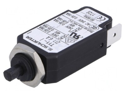 &amp;Icirc;ntrerupător de Supracurent 6A 240VAC 48VDC SPST foto