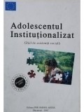 Michaela Nanu - Adolescentul Institutionalizat (Editia: 1997)