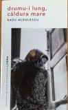 Drumu-i lung, caldura-i mare - Radu Aldulescu