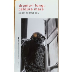 Drumu-i lung, caldura-i mare - Radu Aldulescu