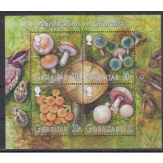 Gibraltar 2003 - Ciuperci, bloc neuzat