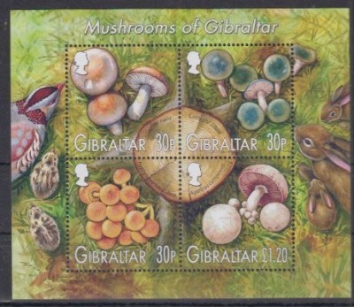 Gibraltar 2003 - Ciuperci, bloc neuzat foto