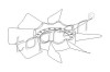Elice ventilator racire motor VW PASSAT Variant (3B5) (1997 - 2001) TOPRAN 111 409