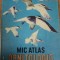 MIC ATLAS ORNITOLOGIC de DIMITRIE RADU , 1983