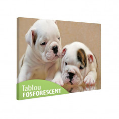 Tablou canvas fosforescent Bulldog Puppies, 52x90 cm, RESIGILAT foto