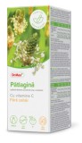 Dr. Max Sirop cu patlagina fara zahar​, 245ml, Dr.Max