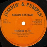 Smart Systems - The Tingler Remix (Vinyl)