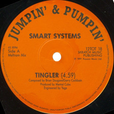 Smart Systems - The Tingler Remix (Vinyl)