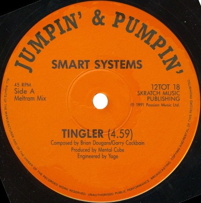 Smart Systems - The Tingler Remix (Vinyl) foto
