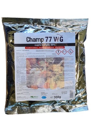 Champ 77WG 200gr foto