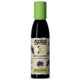 Crema balsamica gourmet BIO clasica iSolai