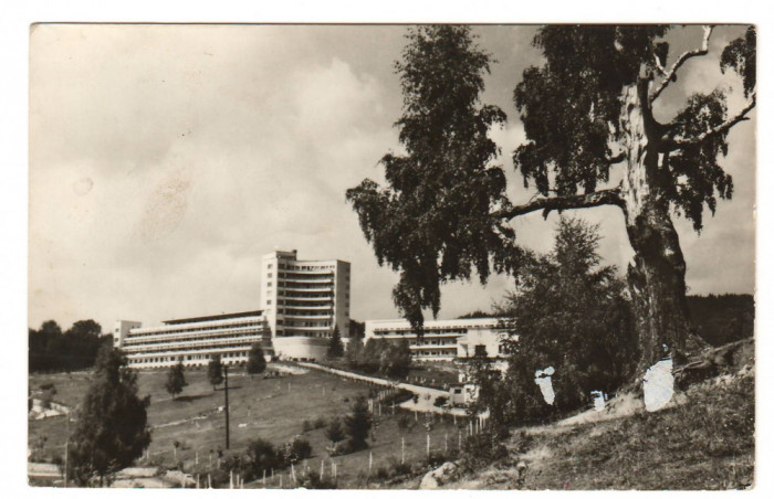 CPIB 19031 CARTE POSTALA - MOROIENI. SANATORIUL