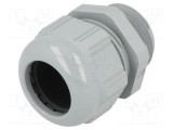 Garnitură de etanșare LAPP SKINTOP&reg; NPT1 IP68 poliamidă gri 19-25,4 mm