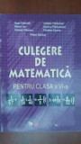 Culegere de matematica pentru clasa a VI-a Ioan Dancila, Marin Ion