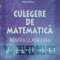 Culegere de matematica pentru clasa a VI-a Ioan Dancila, Marin Ion